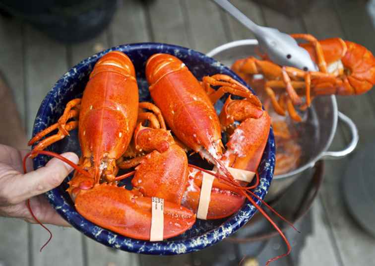 17 choses que vous ne saviez jamais sur le homard du Maine / Maine