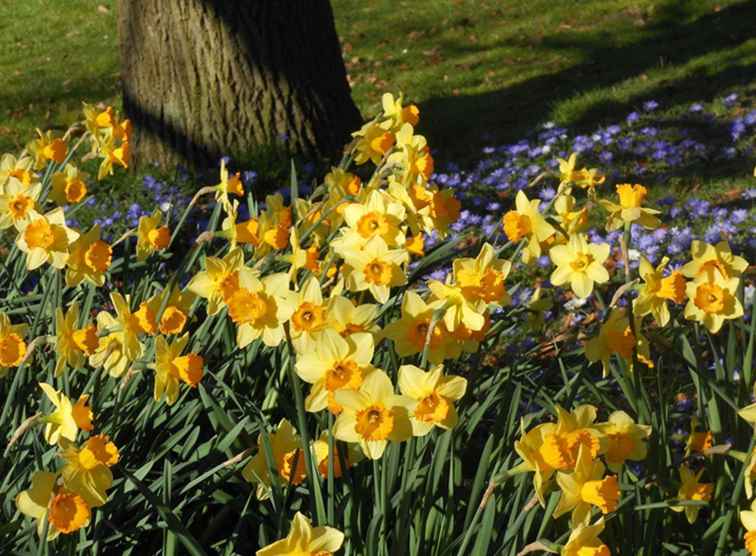 20 mejores cosas para hacer durante el fin de semana de Pascua en el Reino Unido / Inglaterra