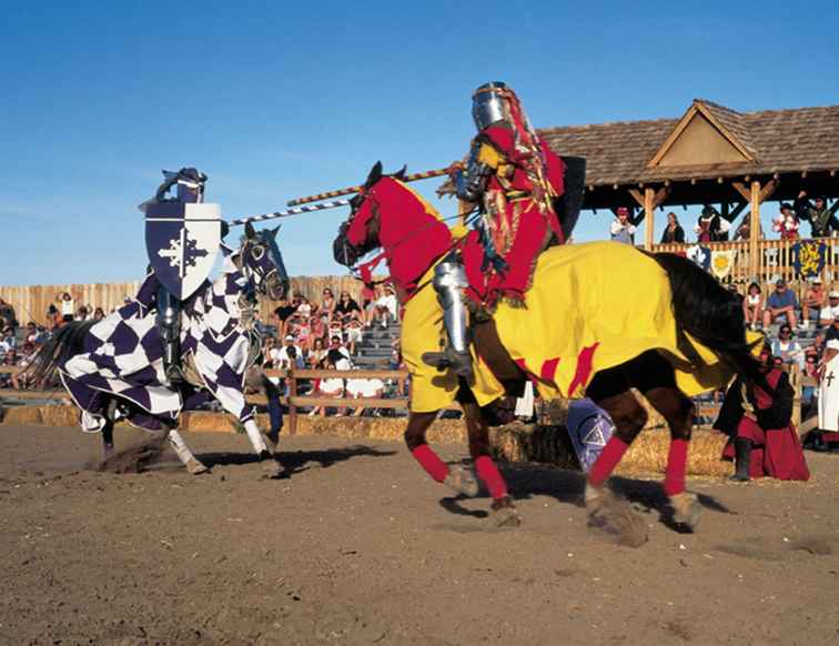 2016 Carolina Renaissance-festival / Noord Carolina