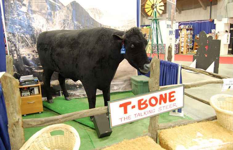 4 manieren om het meeste uit de National Western Stock Show te halen / Colorado