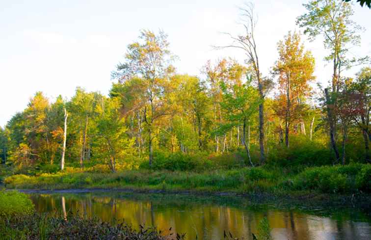 5 Excursiones de otoño desde Nueva York / Nueva York