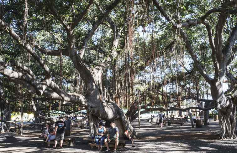 50 Dinge, die du vielleicht über Hawai'i nicht weißt / Hawaii