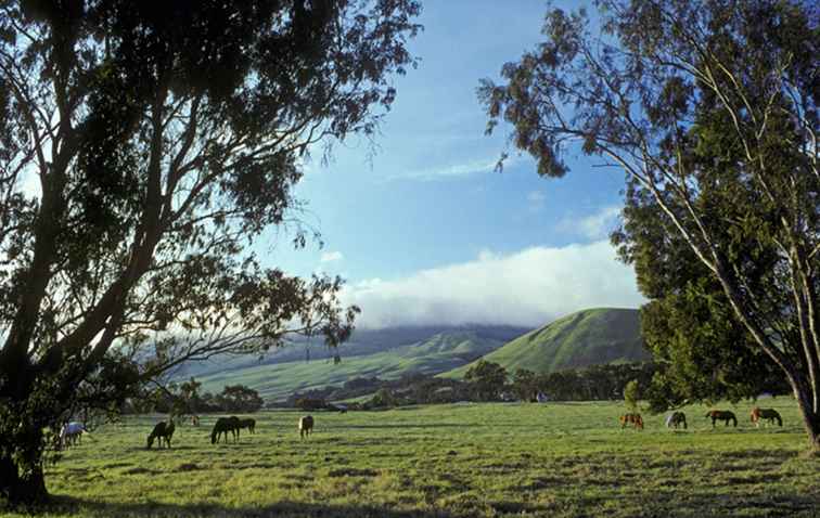 Een korte geschiedenis van Waimea op Hawaii's Big Island / Hawaii