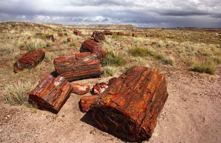 Een reisgids voor het Nationaal Park Petrified Forest / Arizona