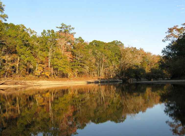 Una fuga Treehouse sul fiume Edisto / Carolina del Sud