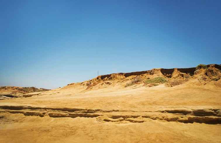 Tutto sulle dune di sabbia di Coronado a San Diego / California