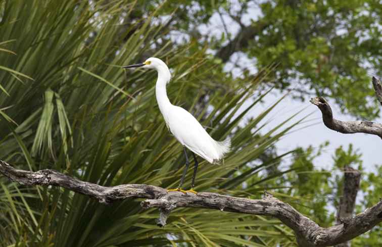 Een Apopka, Florida Bezoekersgids / Florida