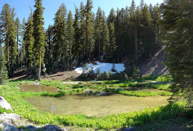 Una descripción del Parque Nacional Volcánico Lassen de California / California