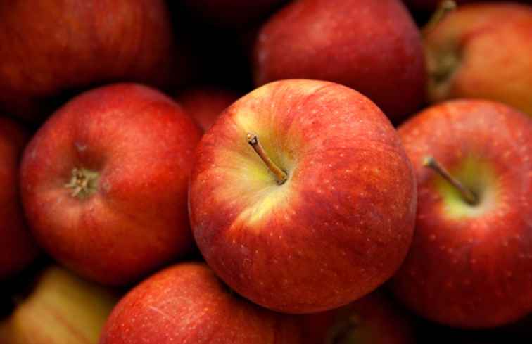 Apple Picking in het Columbus, Ohio-gebied / Ohio