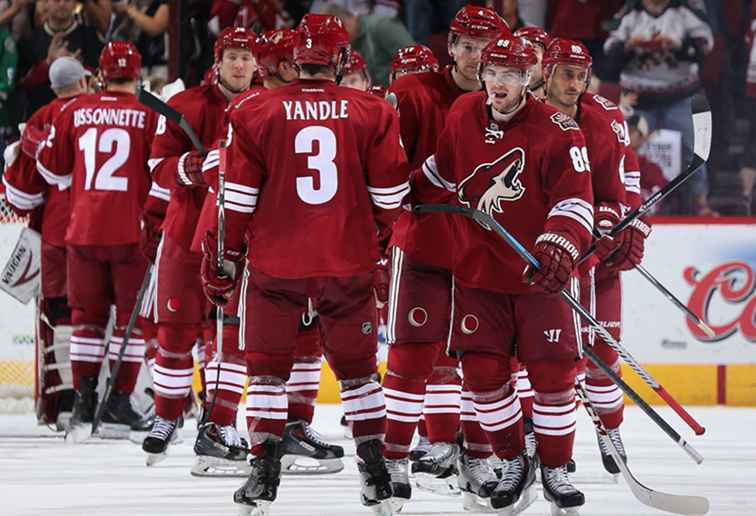 Campo de entrenamiento de hockey Coyotes de Arizona / Arizona