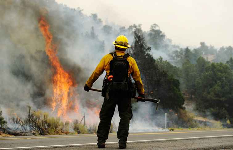 Incendi boschivi in ​​Arizona e incendi boschivi / Arizona