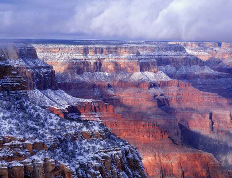 Grand Canyon de l'Arizona en hiver / Arizona