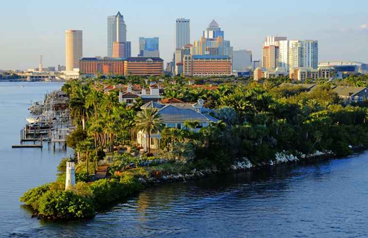 Gemiddelde maandelijkse temperatuur en neerslag in Tampa / Florida