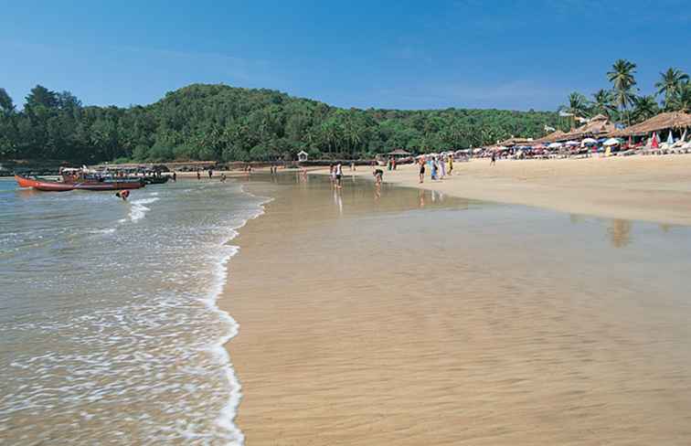 Baga Beach Goa Essential Travel Guide / Goa