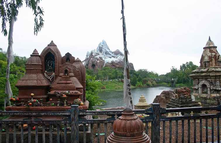 Het beste van Disney's Animal Kingdom voor Tweens en Teens / Florida