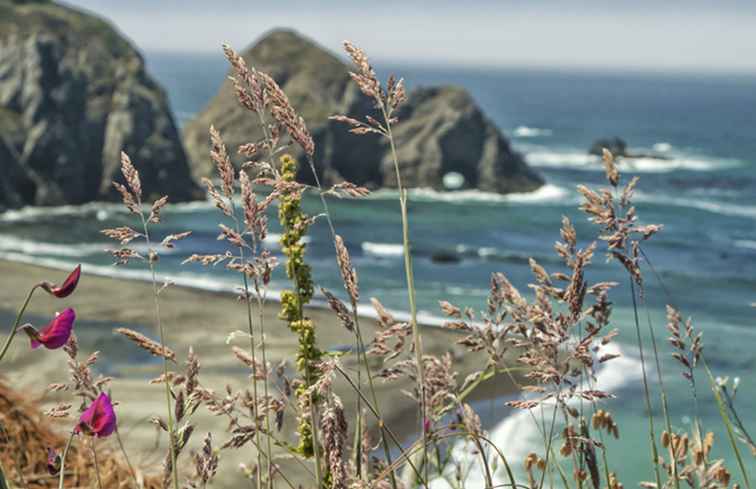 Beste stranden van Sonoma County / Californië