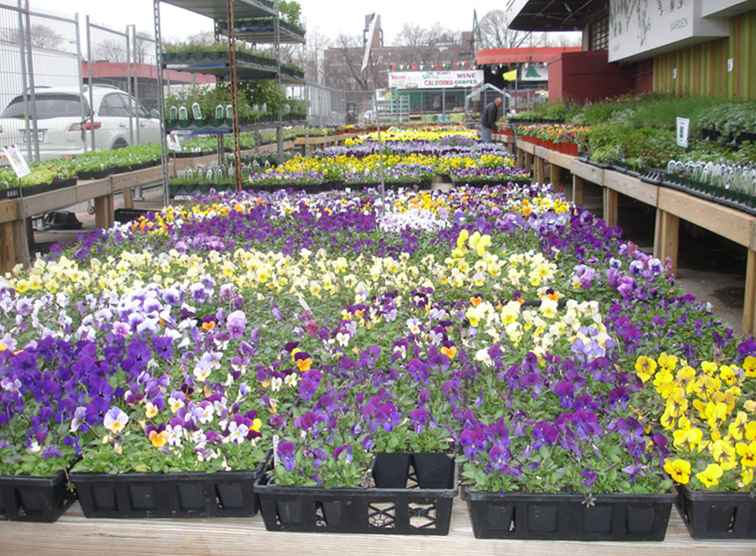 Brooklyn Terminal Markets La guida completa / New York