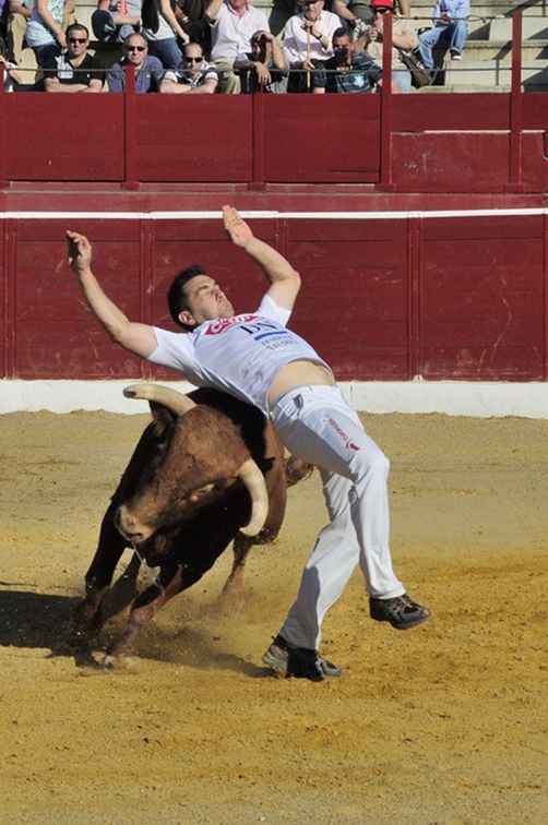 Corrida près de Barcelone et de la Catalogne / Espagne