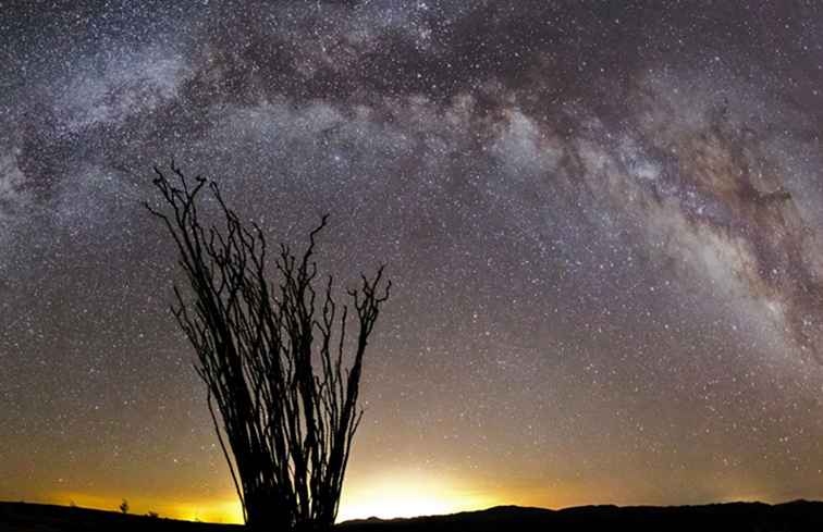 California State Parks / California