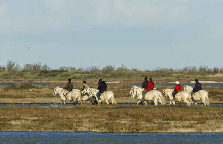 Camargue is een natuurlijk wonder in de Provence / Frankrijk