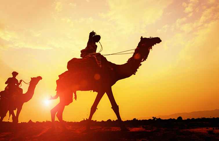 Safari in cammello a Jaisalmer / Rajasthan