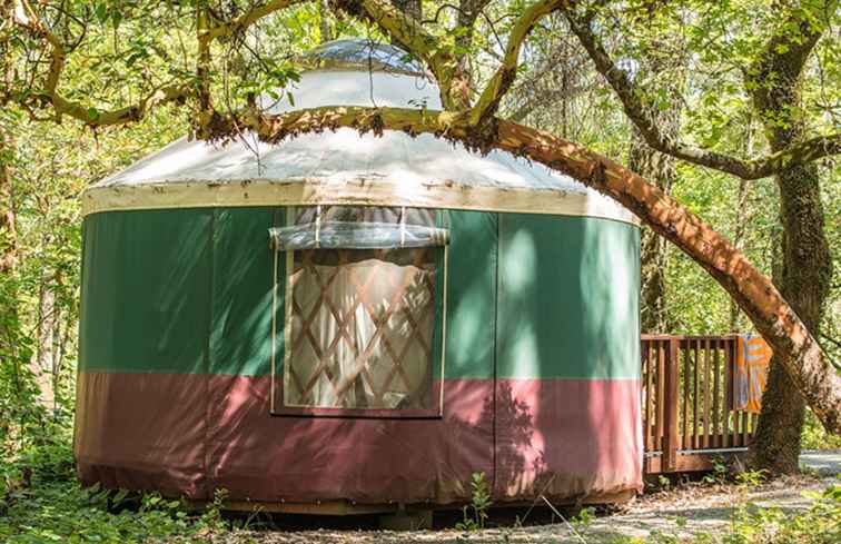 Camping dans la vallée de Napa / Californie