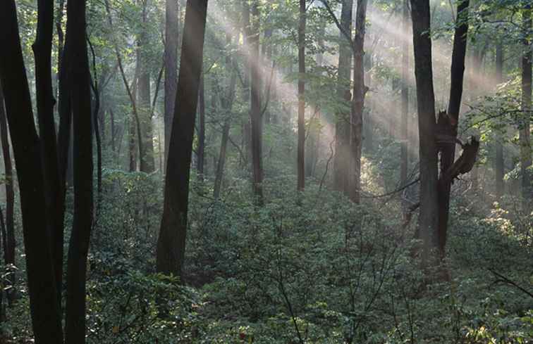 Kamperen in West-Pennsylvania / Pennsylvania