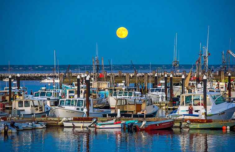 Cape Cod & the Islands Hoogtepunten voor bezoekers / Massachusetts