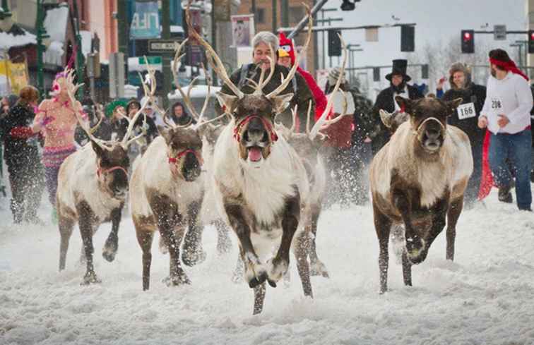 Festeggia l'inverno in grande stile ad Anchorage's Fur Rendezvous