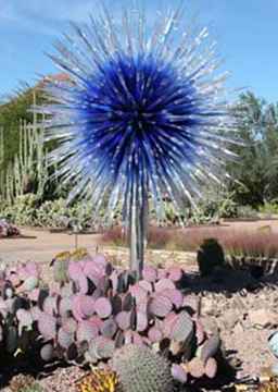 Chihuly Dans le jardin / Arizona