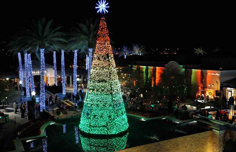 Navidad en la princesa 2016 / Arizona