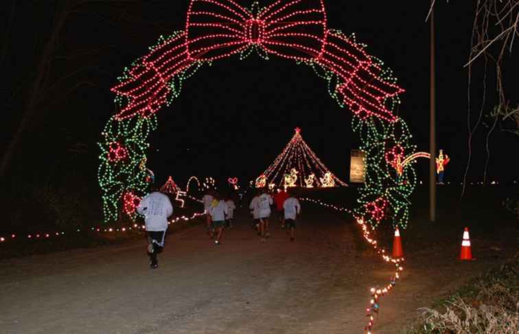 Kerstmislichten in Colombia, Maryland 2017 / Maryland