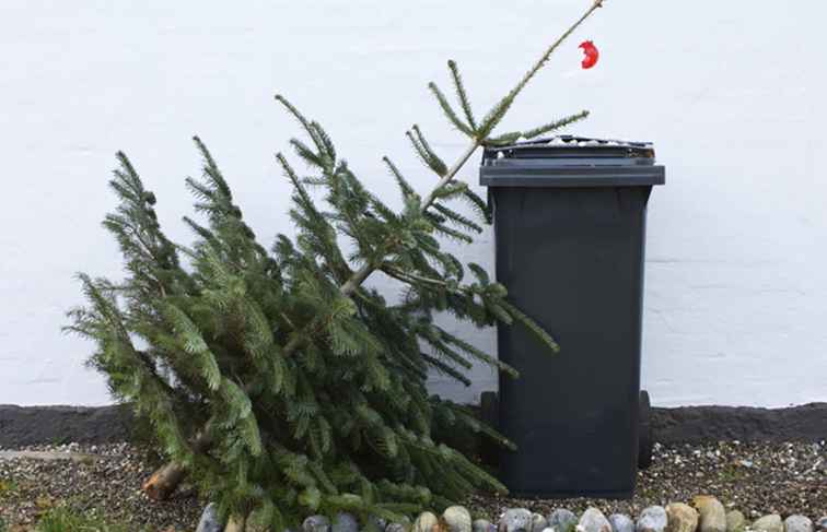 Smaltimento dell'albero di Natale nell'area di Oklahoma City / Oklahoma