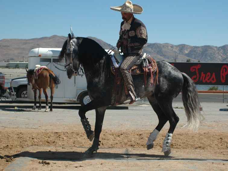 Cinco de Mayo firar i Reno / Nevada