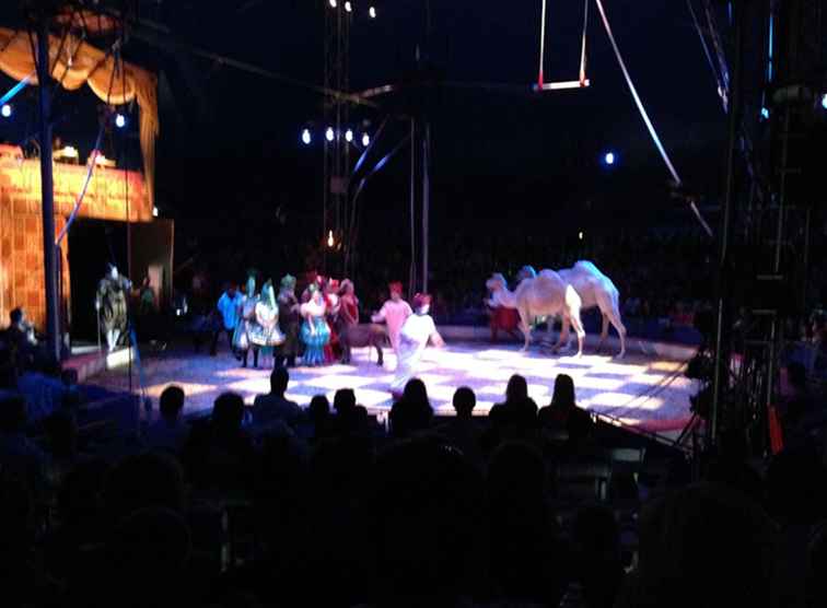 Circus Flora En stor upplevelse i St. Louis / Missouri