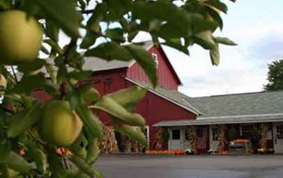 Cleveland and Northeast Ohio Apple Farms / Ohio