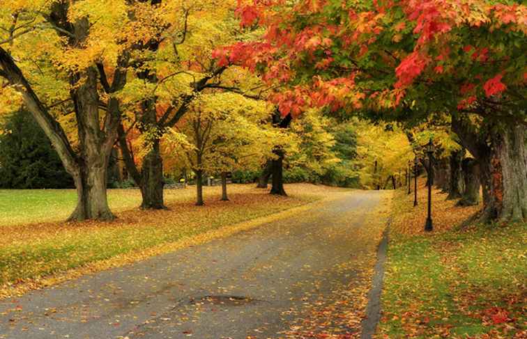 Connecticut Fall Foliage Driving Tours / Connecticut