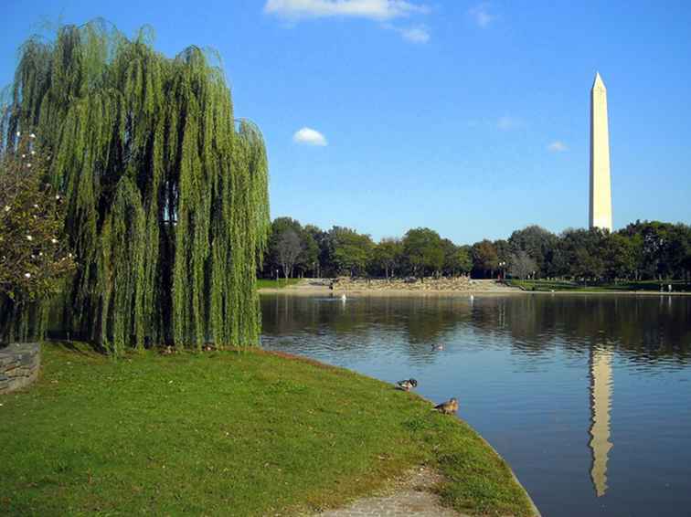 Constitution Gardens - Washington DC / Washington DC.