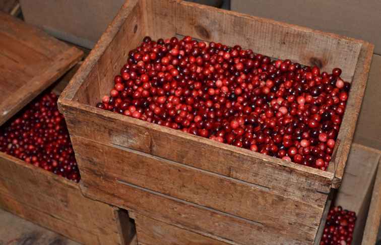 Cranberry Rezepte aus New England Cranberry Land / 