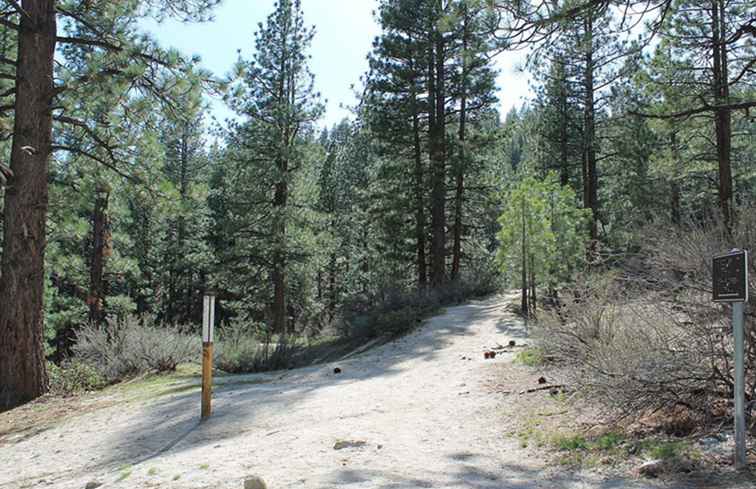 Davis Creek Regionalpark / Nevada