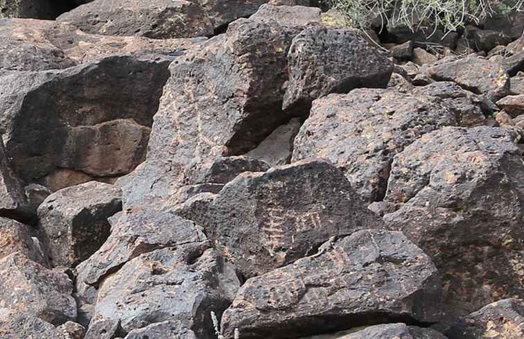 Réserve de pétroglyphes de Deer Valley à North Phoenix / Arizona