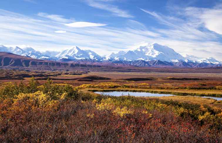 Denali National Park och Reserve, Alaska