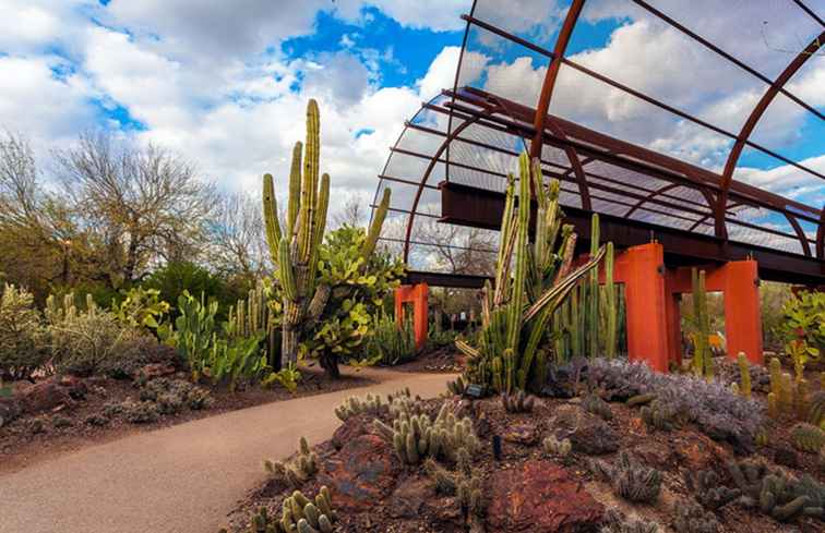Jardin botanique du désert à Phoenix / Arizona