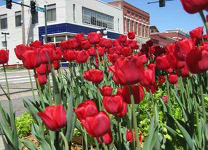 Dineren in het Argenta's District van Downtown North Little Rock / Arkansas