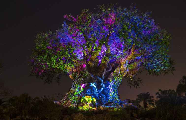 Disney's Awaken Summer belooft nieuwe ervaringen in alle parken / Florida