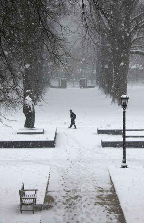 Schneit es überhaupt in Memphis? / Tennessee