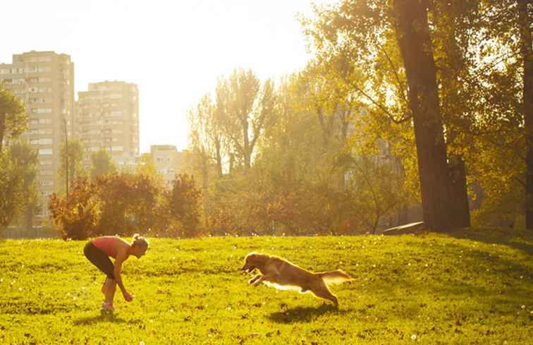 Hundefreundliche Parks in Nordjersey
