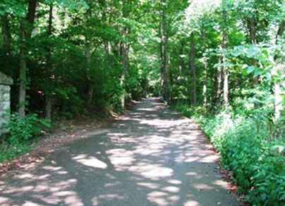 Earth Day Awareness / Kentucky