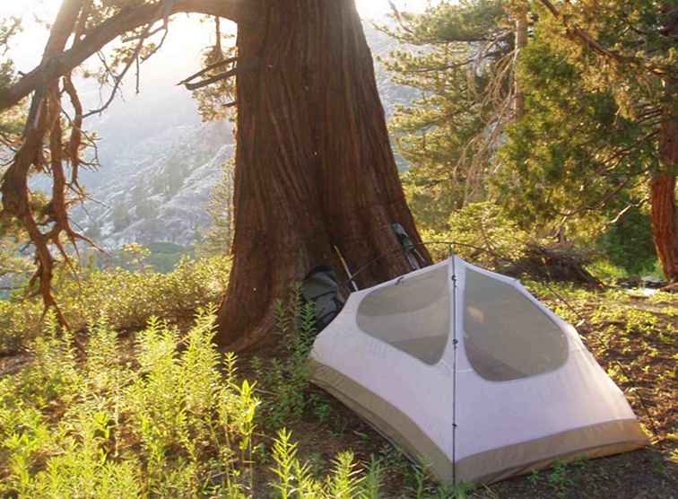 Información de Camping Esparcido Esencial en los Bosques Nacionales