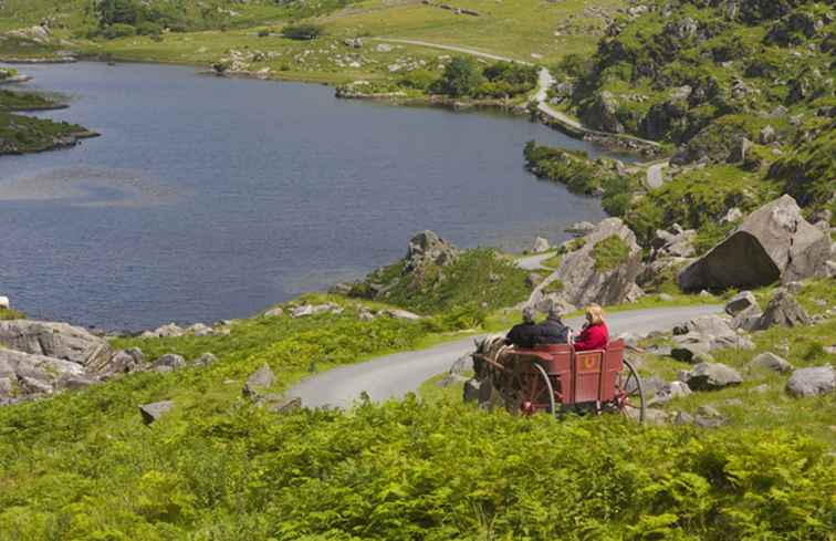 Verkennen van Killarney tijdens een Jaunting Car Tour / Ierland